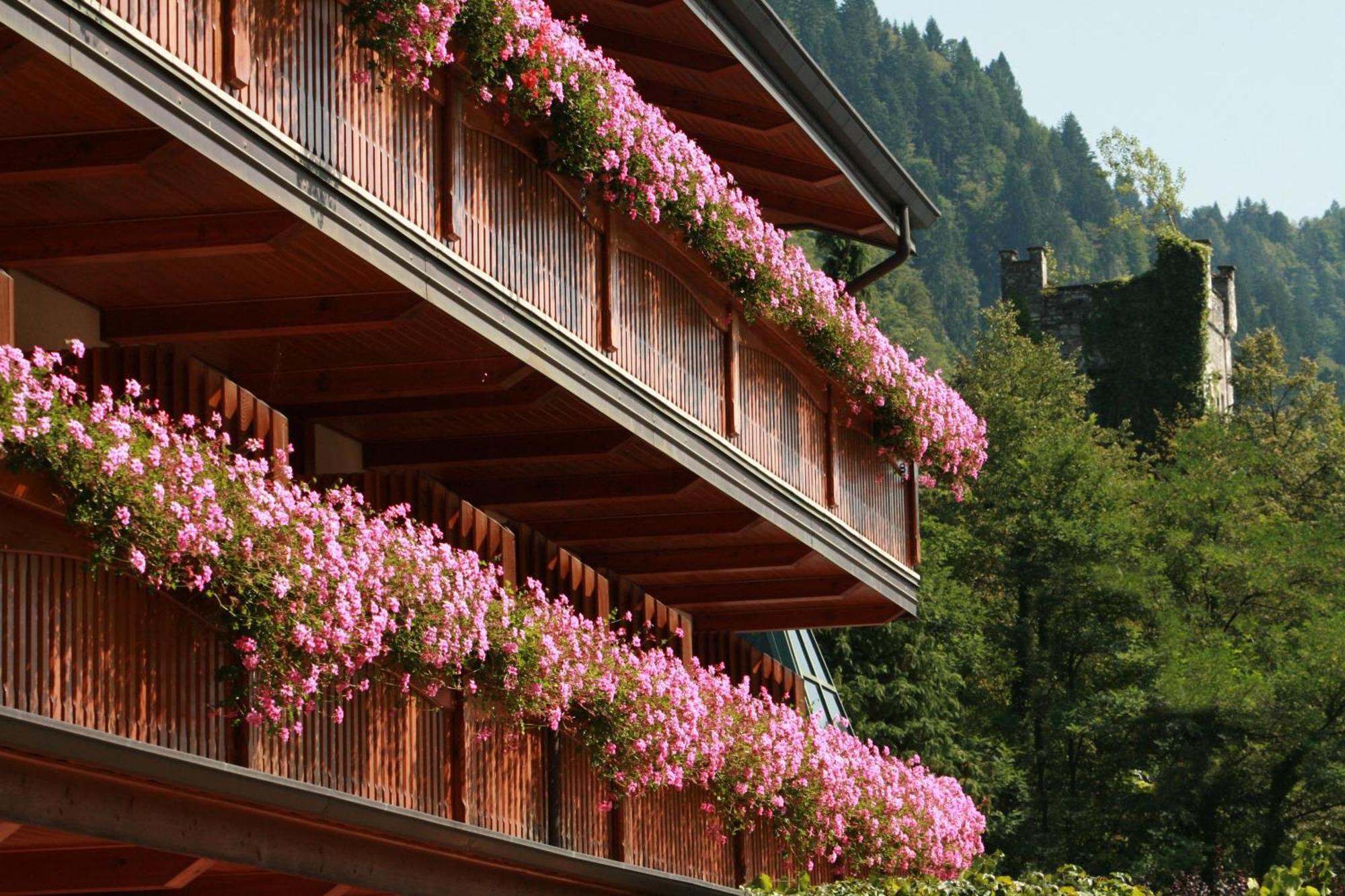 Hotel Centro Benessere Gardel Arta Terme Εξωτερικό φωτογραφία